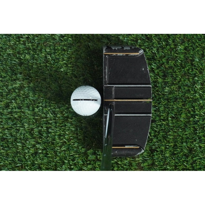 ROGER EVANS STAND-UP MALLET PUTTER 35 STEEL SHAFT LAMKIN GRIP RH ~ L@@K!!