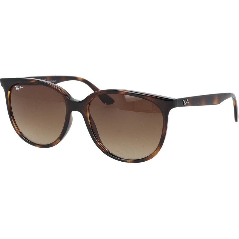 0RB4378 Sunglasses|Havana|Gradient/Brown