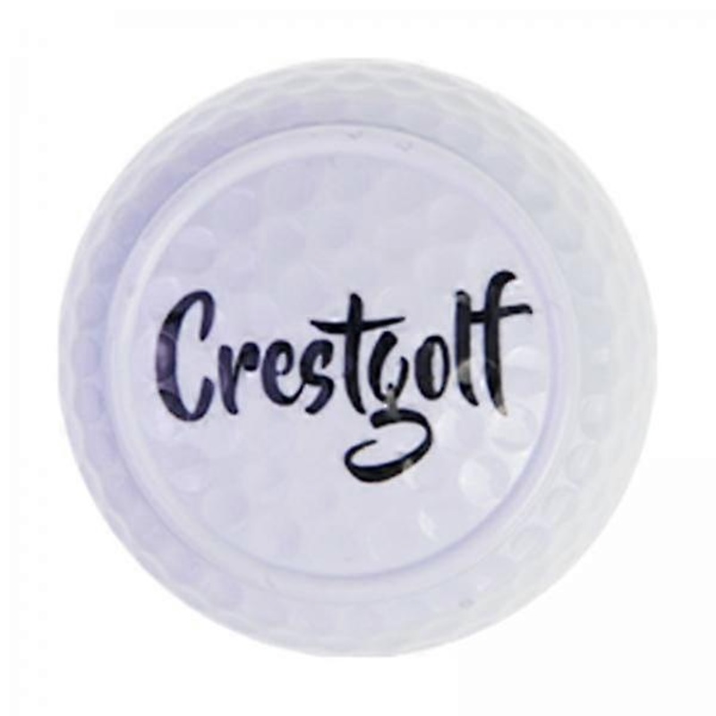 2 Flat Shaped Golf Ball Equipment Golf Practice Ball for